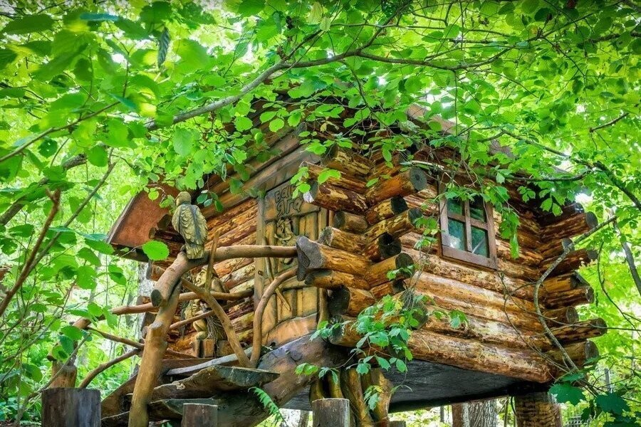 Wonder land Красная поляна